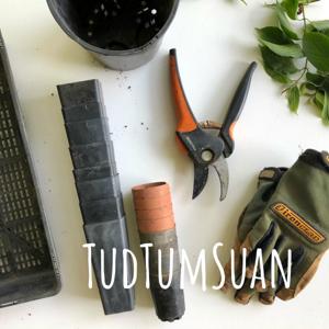 TudTumSuan