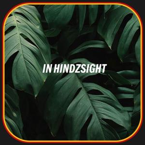IN HINDZSIGHT by HINDZ