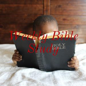 Weekly Bible Study