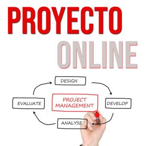 Proyecto Online