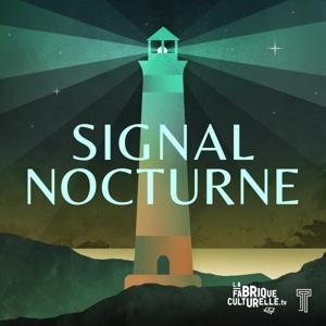 Signal nocturne by La Fabrique culturelle