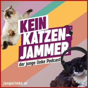 Kein Katzenjammer