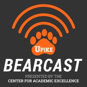 UPIKE Bearcast