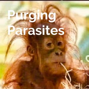 Purging Parasites