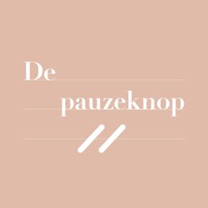 De Pauzeknop