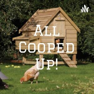 All Cooped Up Podcast: