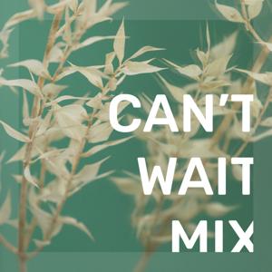 Can't Wait Mix