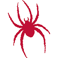 Spider Insight Podcast