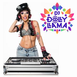 DJ Dolly Llama