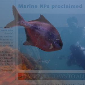 Marine National Parks Podcast