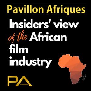 Insiders’ view of the African film industry