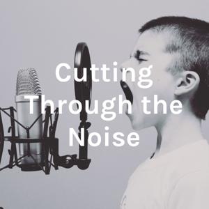 Cutting Through the Noise