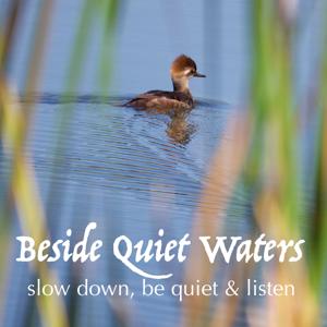 Beside Quiet Waters