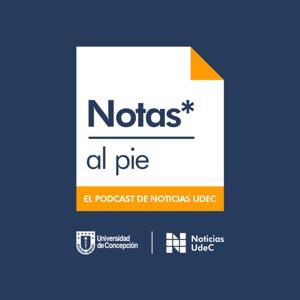 Notas al pie