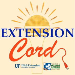 Extension Cord