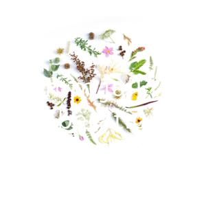 From jail to liberation