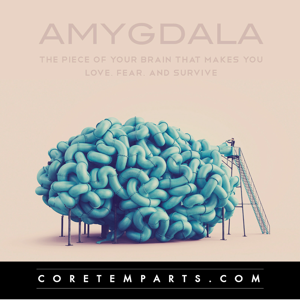 Amygdala Magazine by Dwight Hurst