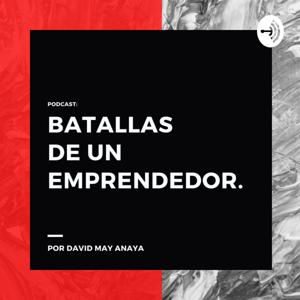 Batallas de un emprendedor