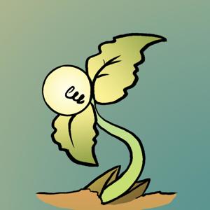 Soyle Podcast