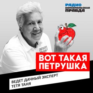 Вот такая петрушка