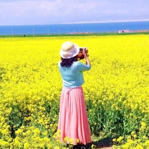 琴声悠悠