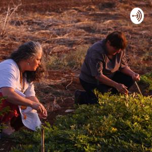 פודקאסט – אמן. זמן. מקום.