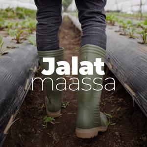 Jalat maassa