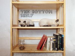 Bottom Shelf Podcast