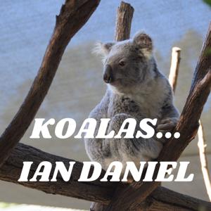 KOALAS... IAN DANIEL