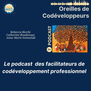 Oreilles de Codéveloppeurs