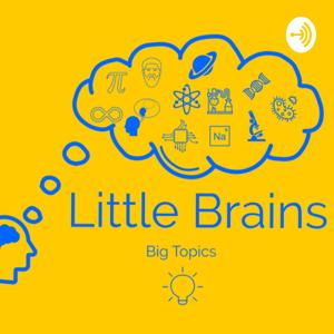 Little Brains Big Topics