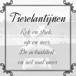 Tierelantijnen