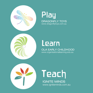 Play Learn Teach