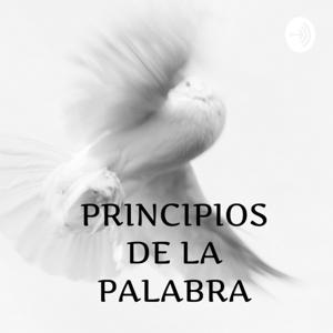 Principios De La Palabra