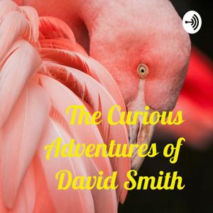 The Curious Adventures of David Smith