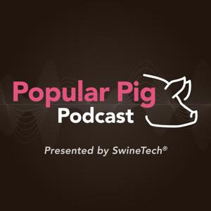 Popular Pig by Matthew Rooda