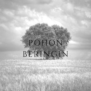 POHON BERINGIN