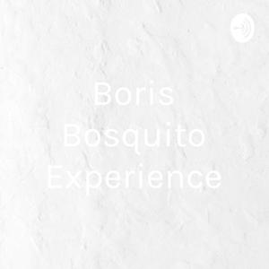 Boris Bosquito Experience