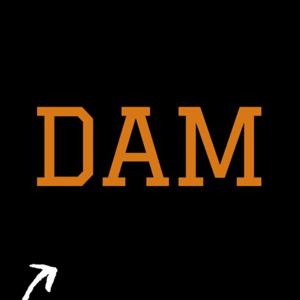 Dam Podcast