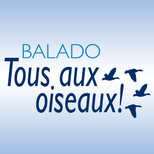 Tous aux oiseaux!