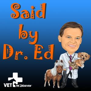 Vet24seven - Advice for Pet Owners regarding their dogs, cats, birds, horses and more