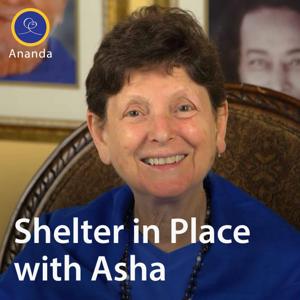 Shelter in Place with Asha