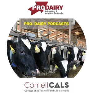 Cornell PRO-DAIRY Podcasts