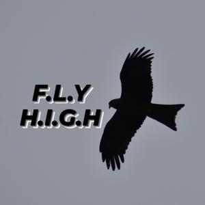 FLY HIGH