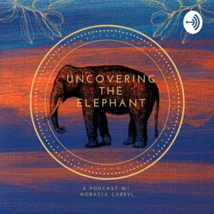 Uncovering the Elephant