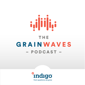 GrainWaves