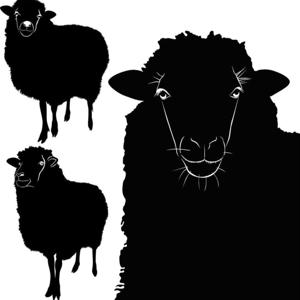 Black Sheep Voices