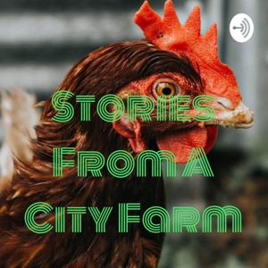 Stories From A City Farm