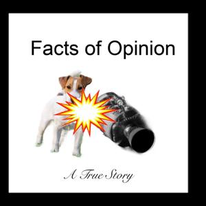 Facts Of Opinion: A True Story