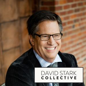 David Stark Collective